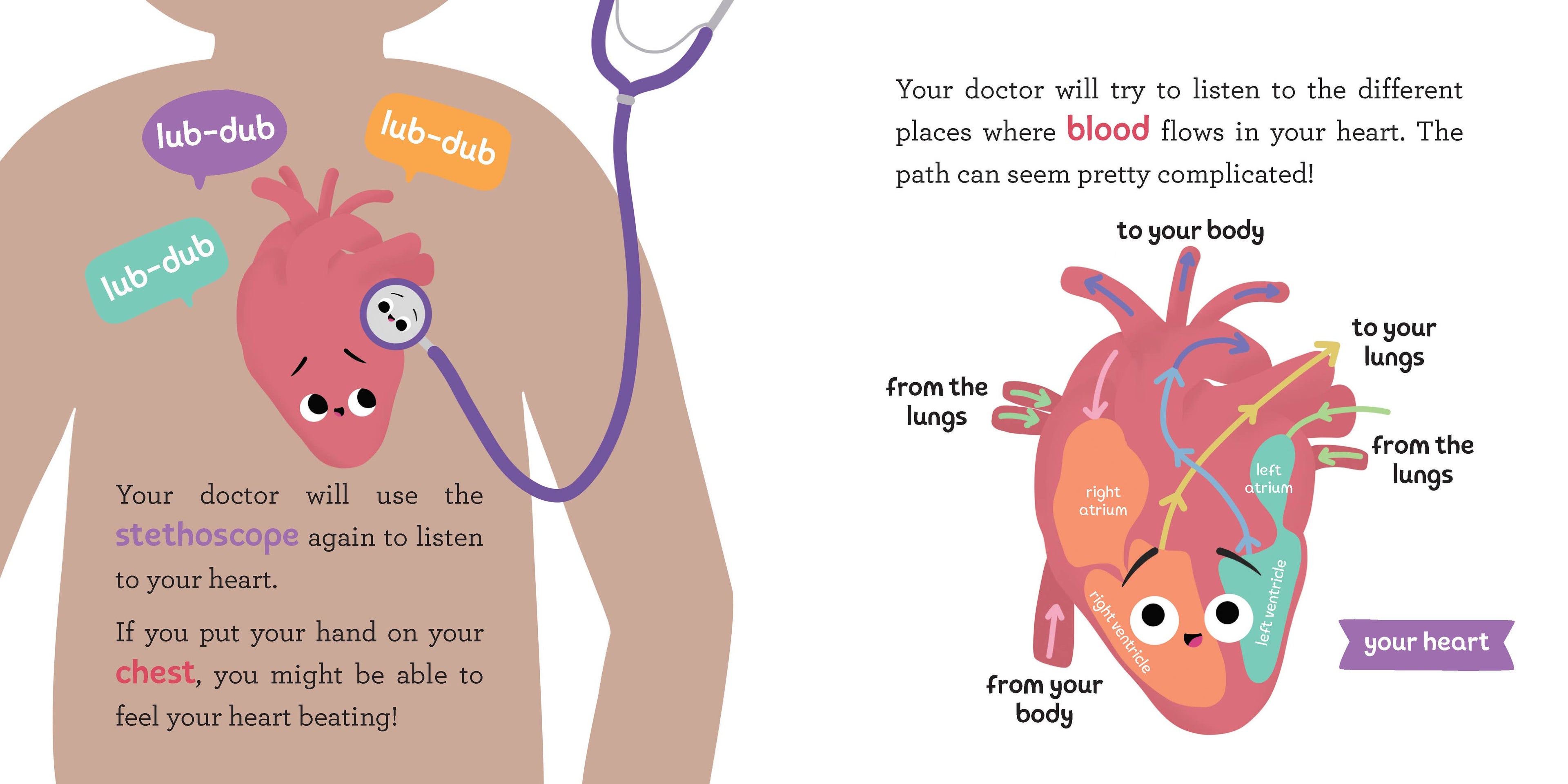 Baby Medical School: My Doctor's Visit (BB)