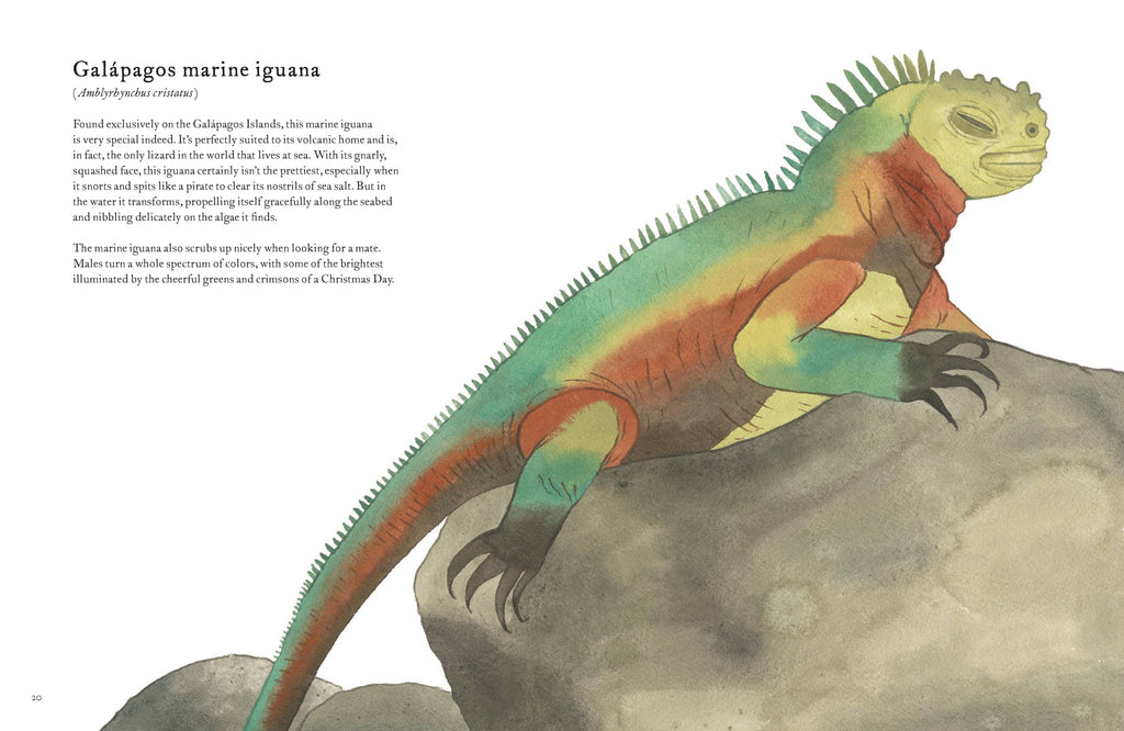 Colorful World of Reptiles