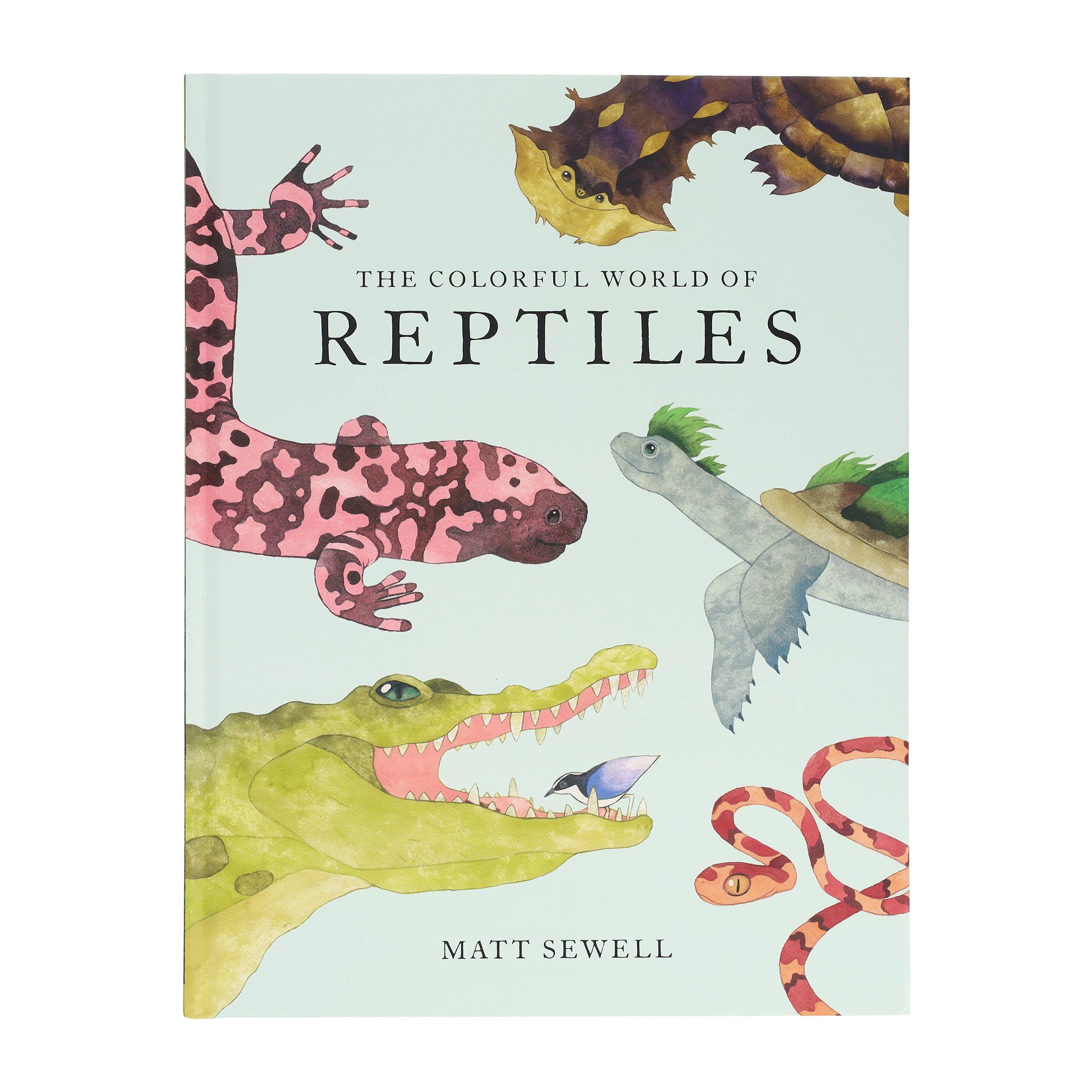 Colorful World of Reptiles