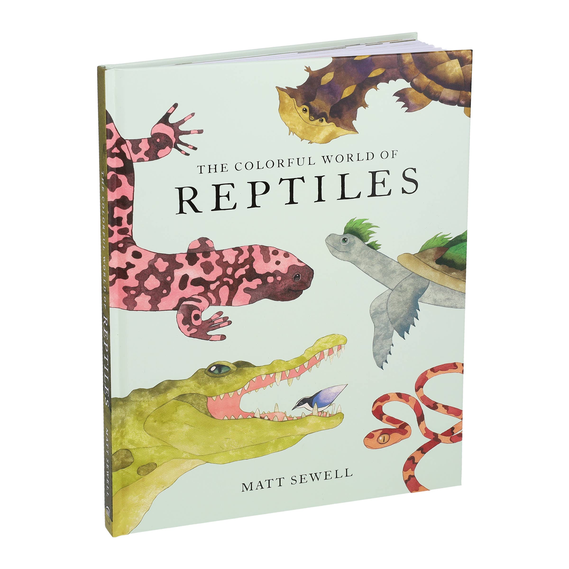 Colorful World of Reptiles