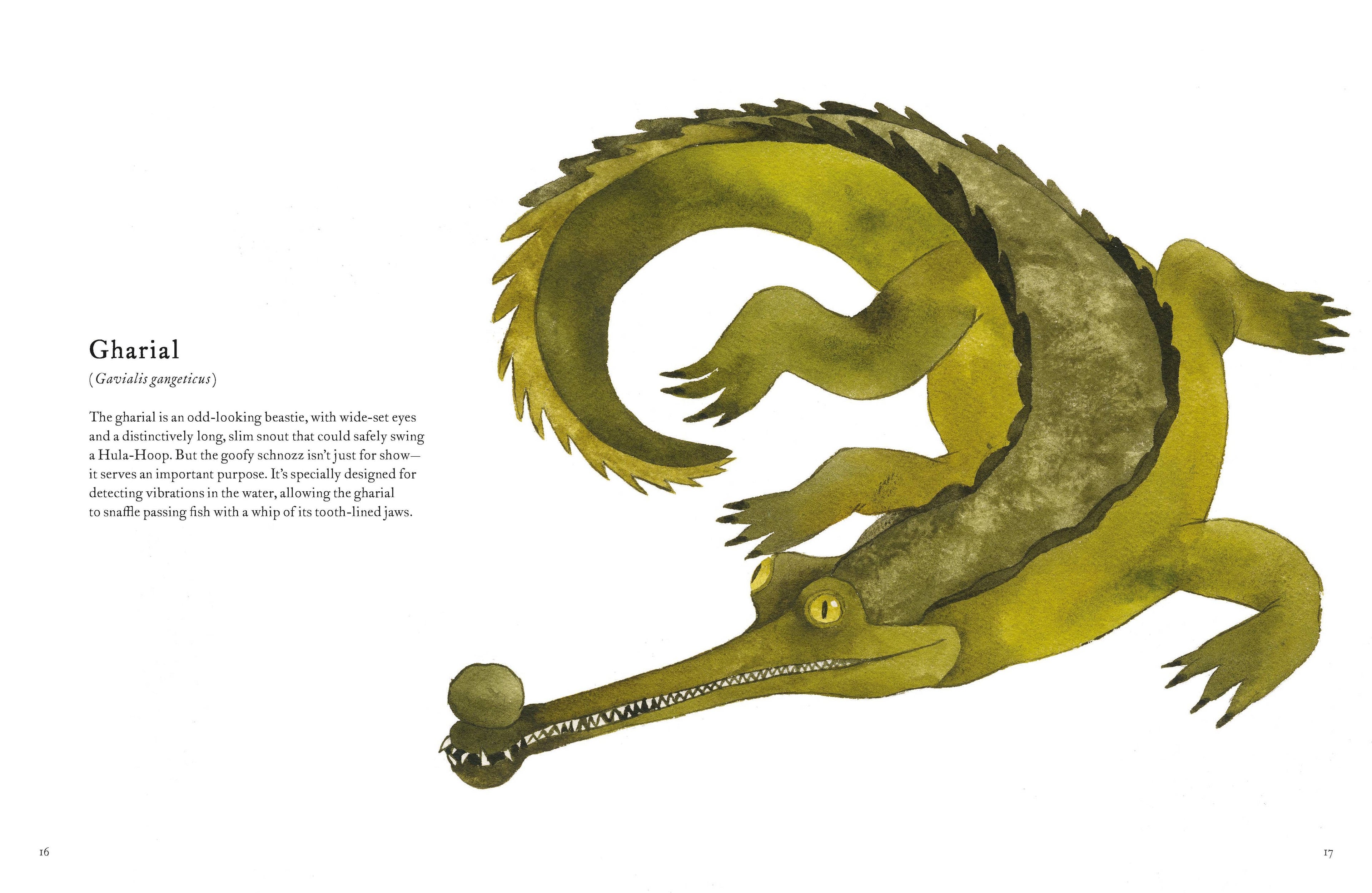 Colorful World of Reptiles