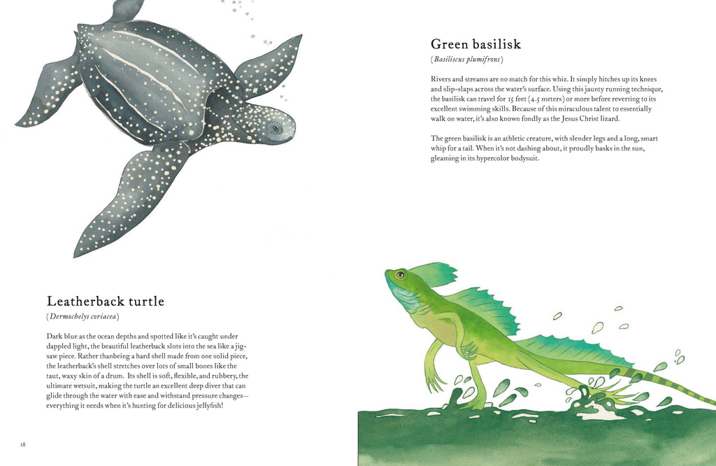 Colorful World of Reptiles
