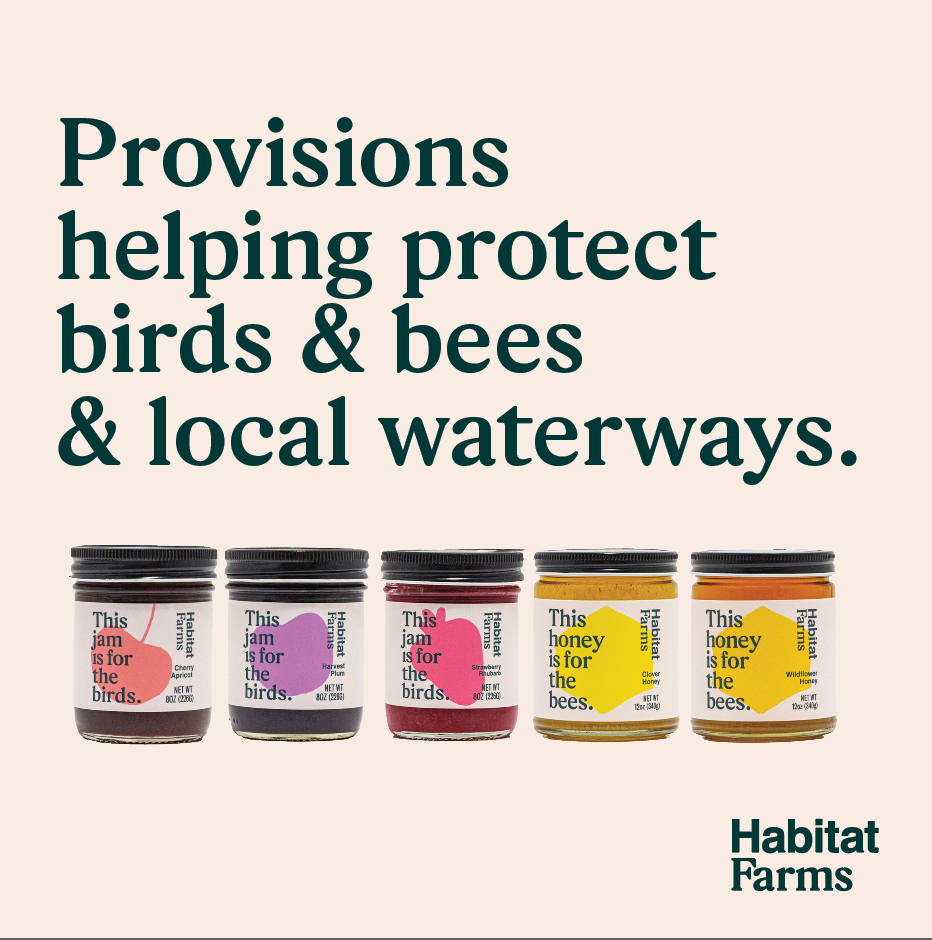 Wildflower Honey