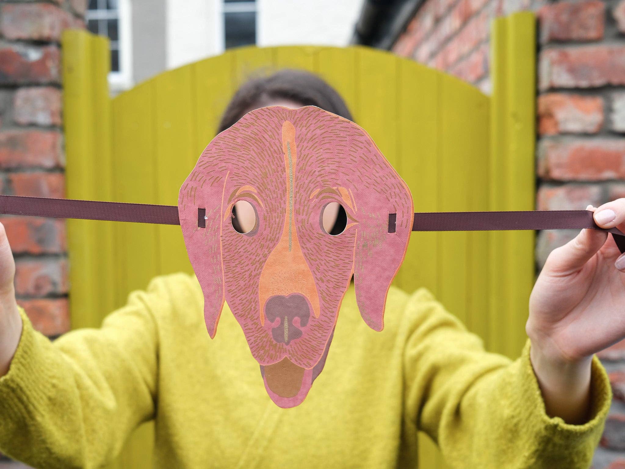 ANIMAL FANCY DRESS FACE MASKS