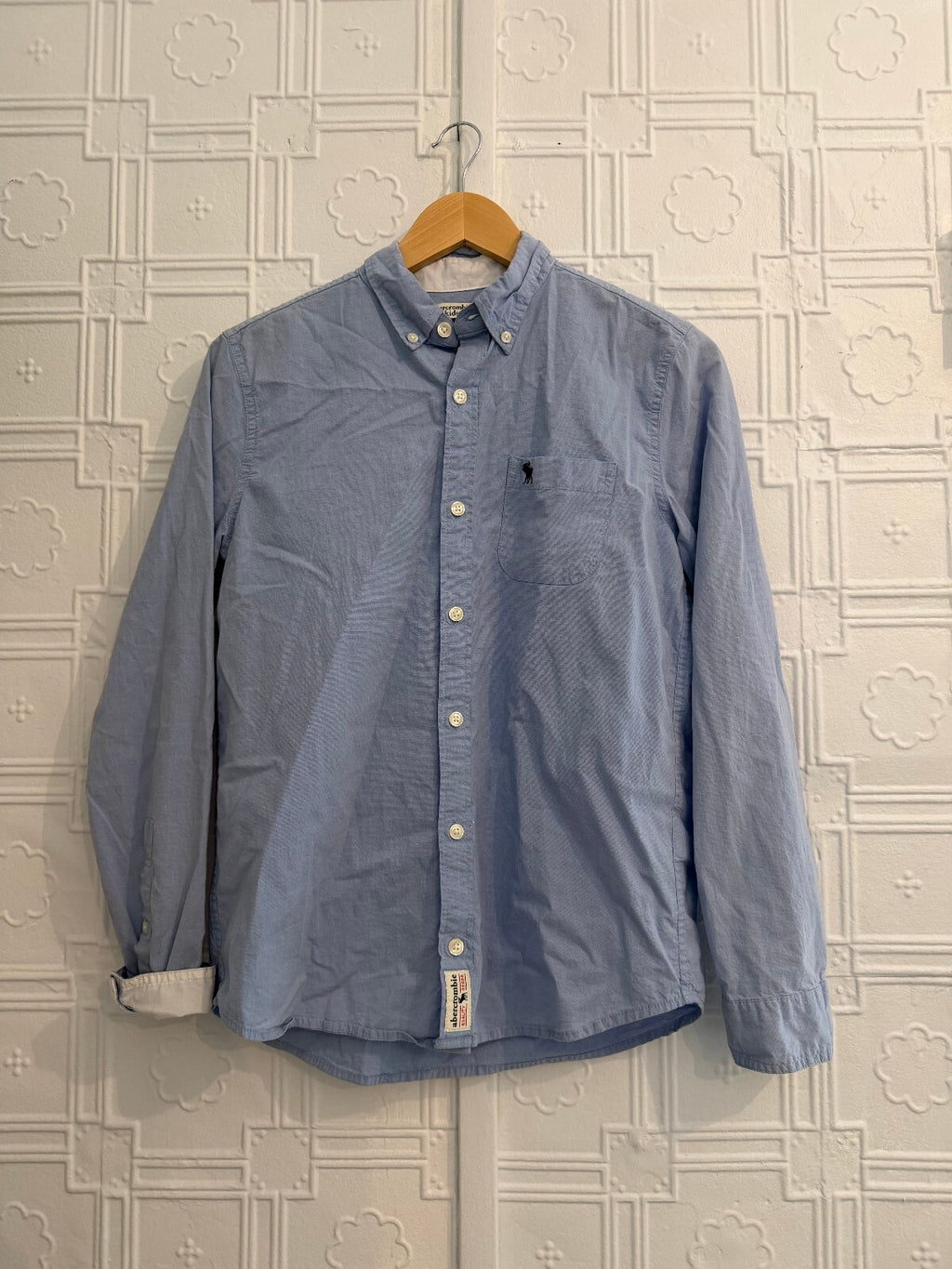 Abercrombie Kids Blue Oxford Button Down Shirt Size 15/16