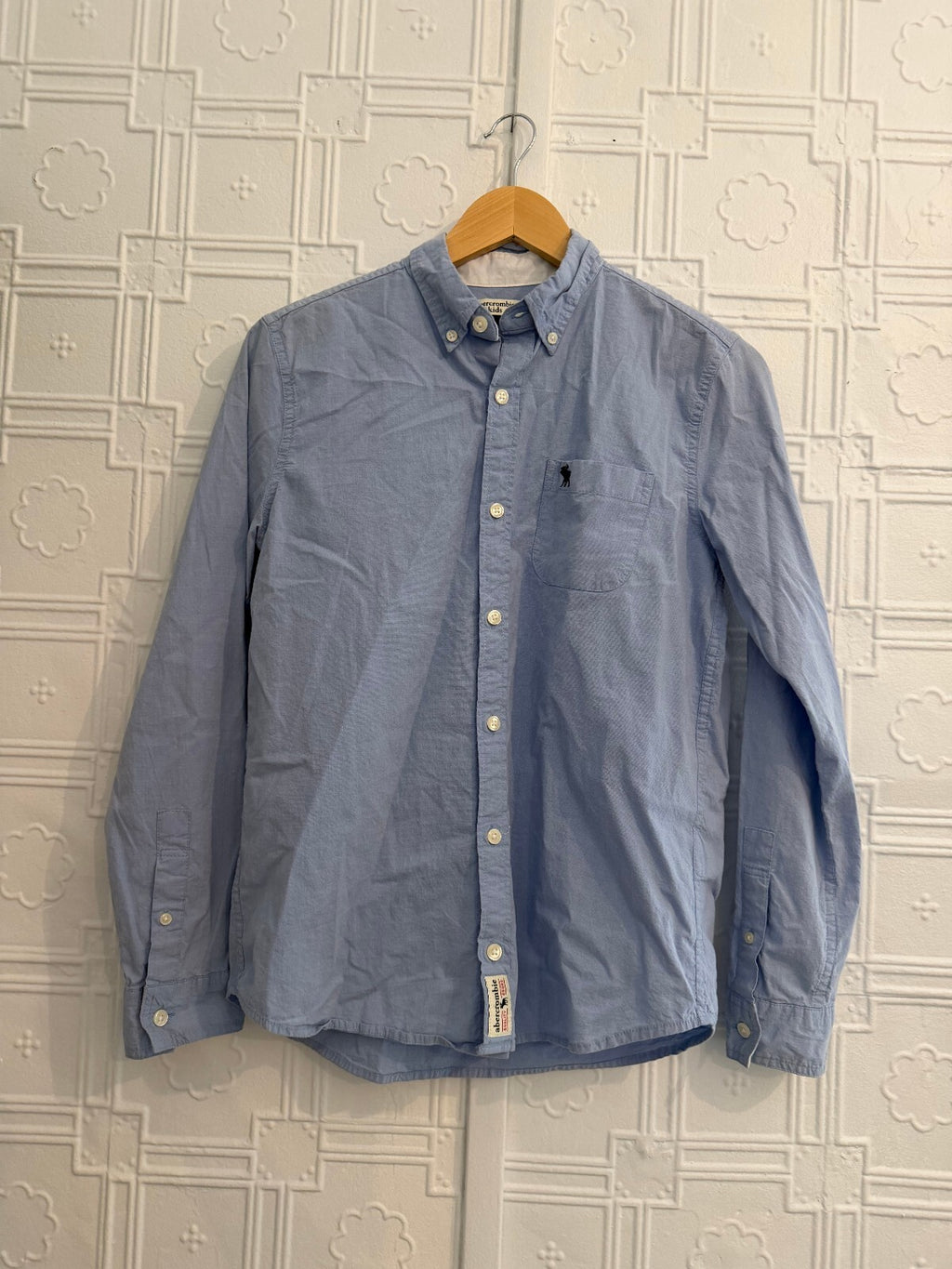 Abercrombie Kids Blue Oxford Button Down Shirt Size 15/16