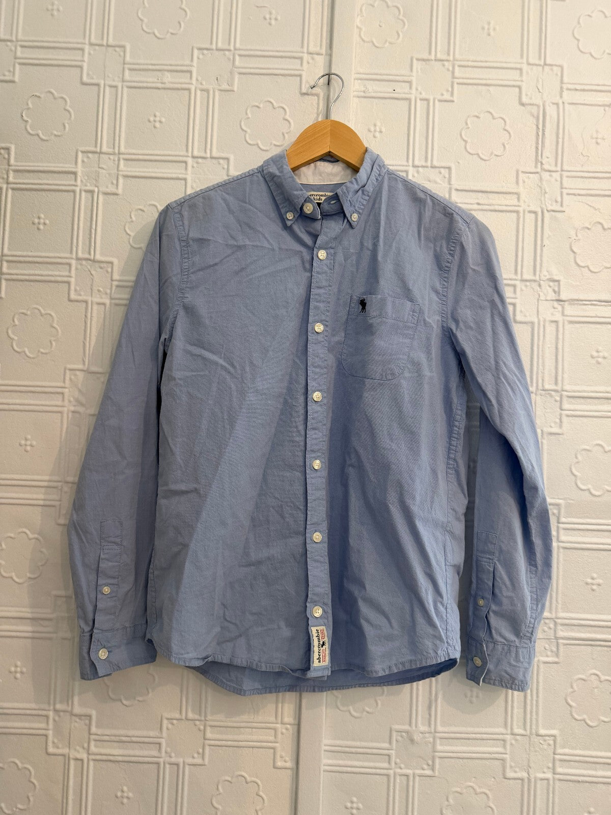 Abercrombie Kids Blue Oxford Button Down Shirt Size 15/16