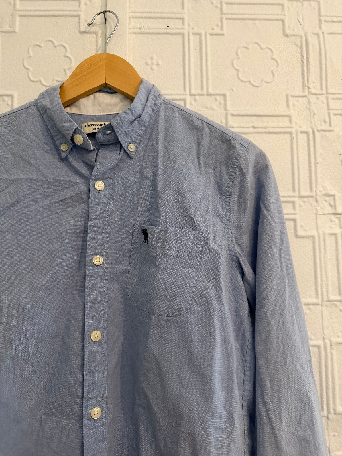 Abercrombie Kids Blue Oxford Button Down Shirt Size 15/16