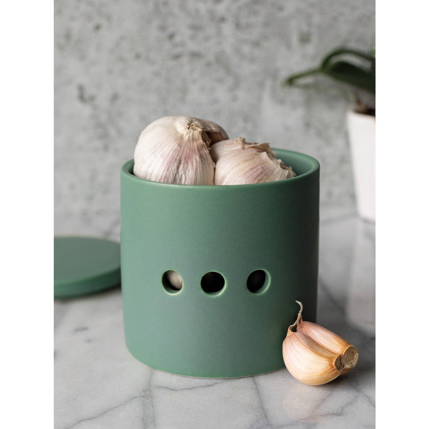 Matte Elm Green Garlic Keeper