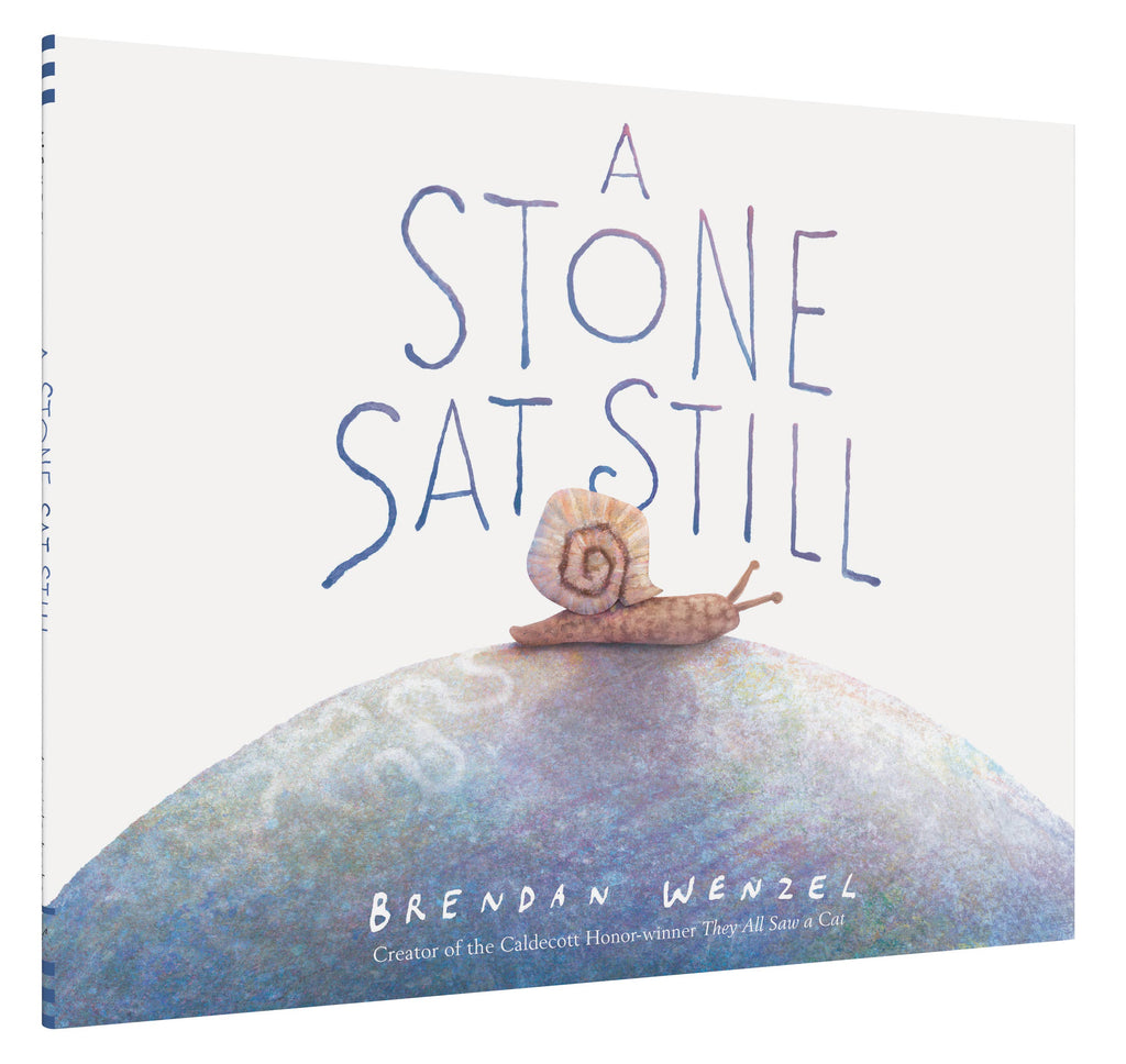 A Stone Sat Still